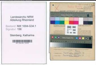 Entnazifizierung Katharina Steinberg , geb. 28.11.1895 (Dentistin)