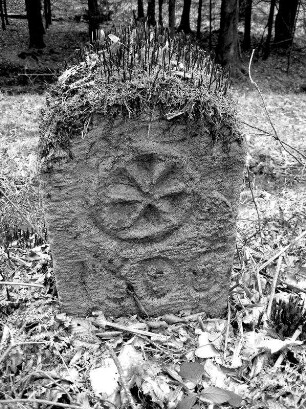 Grenzsteine (Grenzstein); Biebergemünd, Nordseite des Kasselbaches