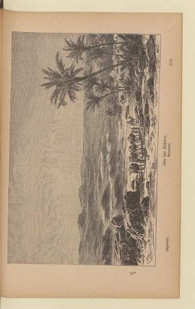 Aus der Sahara
