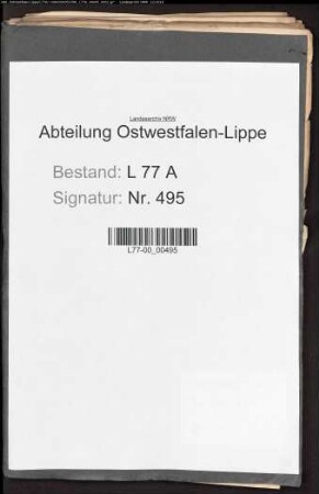 Anstellung der Auditoren beim Amt Hohenhausen