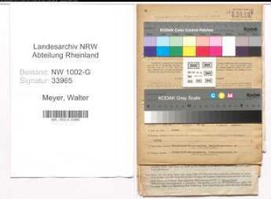 Entnazifizierung Walter Meyer, geb. 14.01.1907 (Kaufm.Angest.)
