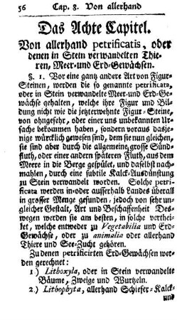 Das achte Capitel. Von allerhand petrificatis, oder denen in Stein verwandelten Thieren, Meer- und Erd-Gewächsen