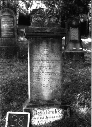 Grabstein 38 (Index: 100100948) Material: Kalkstein Zustand: leicht verwittert Maße HxBxT: 140x40x20 cm Beschreibung: Stele, Sockel, Abdeckplatte mit Spitzbogenaufsatz Symbolik: Voluten, Palmette Besonderheit: eingemeißelte Nummer: 25: Grabstein 38