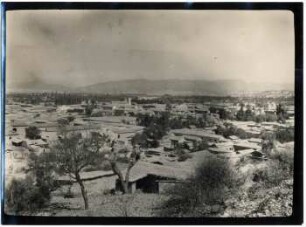 Tarija