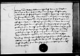 Konrad von Rietheim quittiert für 50 fl. Gült.
