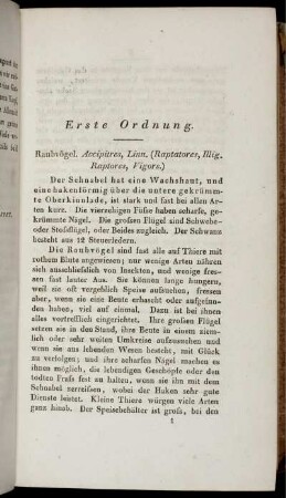 Erste Ordnung. Raubvögel. Accippitres, Linn.