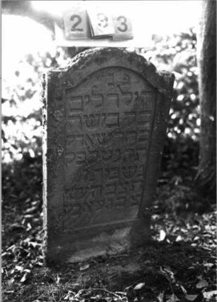 Grabstein 293 (Index: 99795762) Maße HxBxT: 88x47x8 cm: Grabstein 293