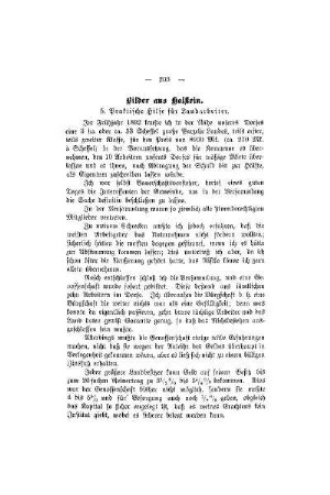 Bilder aus Holstein