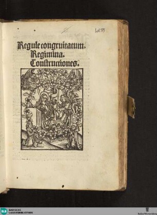 Grammatica : Regulae congruitatum, constructiones et regimia