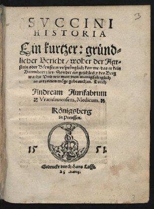 SVCCINI || HISTORIA || Ein kurtzer: gründ=||licher Bericht/ woher der Agt=||stein oder Börnstein vrsprünglich komme ... ||