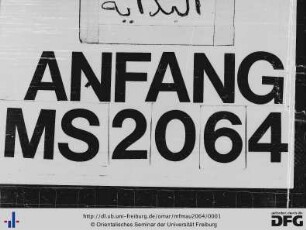 MF Mau 2064