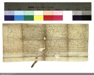 Philipp [Schenck zu Schweinsberg], Abt von Fulda und Verwalter des Klosters Johannesberg, verleiht drei Wiesflecken am Weinberg über Dietershausen