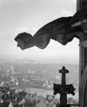 Wasserspeier : Wasserspeier. Stein (vor 1890) Ulm, Münster, Westturm, Südostecke