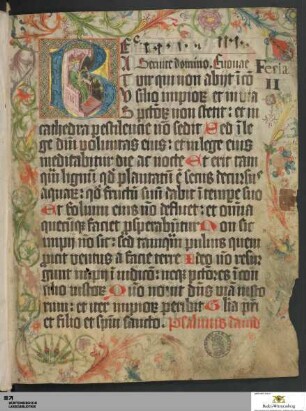 Psalterium feriatum