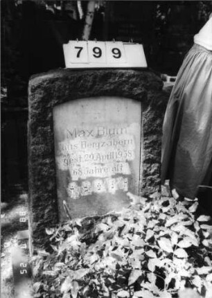 Grabstein 799