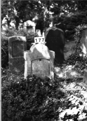 Grabstein 177 (Index: 100085398) Zustand: Schriftplatte entfernt Maße HxBxT: 133x47x20 cm Beschreibung: Stele, eingezogener Rundbogenabschluß, Schriftplatte mit Segmentbogenabschluß: Grabstein 177