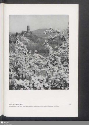 Die Godesburg