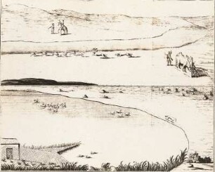 Jagd auf wilde Schwäne, Gänse und Enten mit der Karren-Büchse. Reproduktion aus: Hans Friedrich von Fleming "Der Vollkommene Teutsche Jäger", 1719