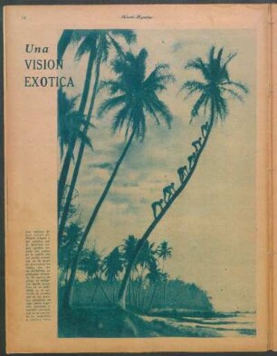 Una visión exótica [Fotografía]