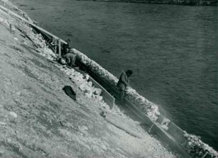 Donaukraftwerk, 1950-1952