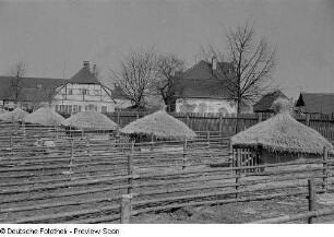 Freigehege mit Ställen
