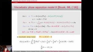 Viscoelastic phase separation: analysis and numerics