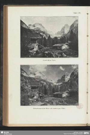 Almhütte [gewöhnliche Platte]