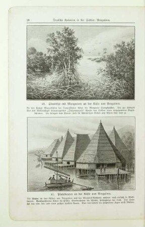 40. Strandsee mit Mangroven an der Küste von Neuguinea