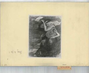 "Fotothek" des Einsatzstabes Reichsleiter Rosenberg: Sammlung Dario Viterbo