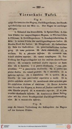 Vierzehnte Tafel