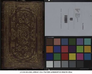 Biblia: Das ist: Die gantze Heilige Schrifft/ Deutsch D. M. Luth. : Jetzt von newen/ nach dem letzten/ von D. Luthero uberlesenem Exemplare/ mit fleiß corrigirt/ Neben den Summarien Viti Dieterichs/ uber jede Capitel/ nützliche Zeit/ Historien/ und LehrRegister/ etc.
