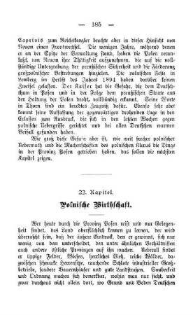 22. Kapitel. Polnische Wirthschaft.