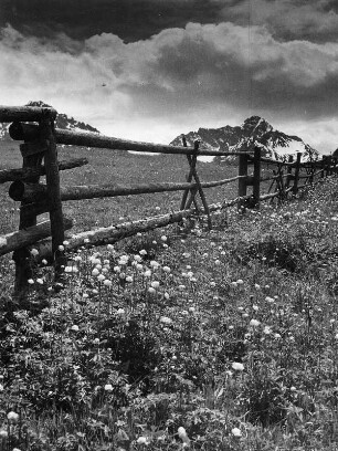 Vorarlberg. Koppelzaun im Walsertal