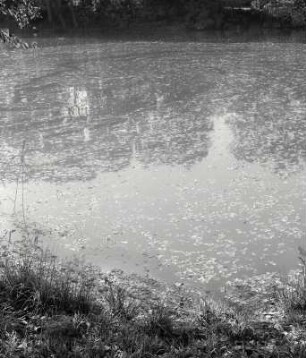 Gümser See, Wendland, Deutschland, 2001