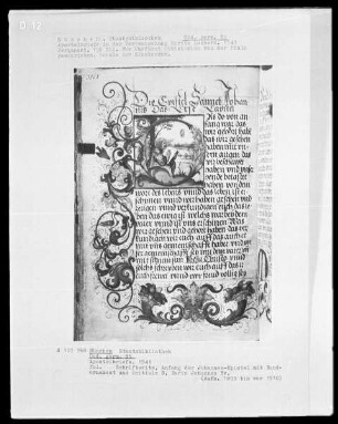 Apostelbriefe in der Verdeutschung Martin Luthers — Initiale D, darin Johannes Evangelist, und Teilbordüre