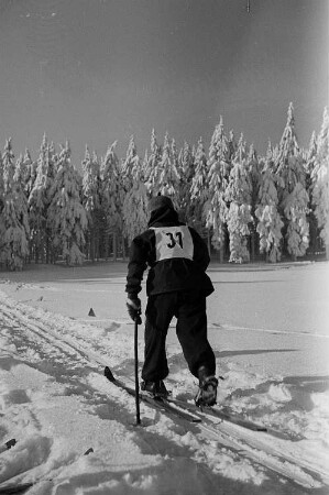 Pioniere beim Wettkampf im Skilanglauf : Pioniere beim Skilanglauf