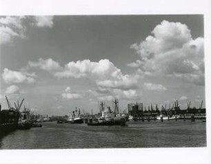 Hamburg. In der Norderelbe liegen zwei Frachter an Duckdalben ,um gelöscht zu werden. Im Hintergrund (Bildmitte) der Gasometer von Grasbrook