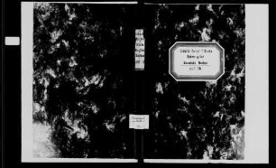 Buchen, katholische und israelitische Gemeinde: Standesbuch 1867-1870