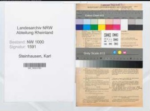 Entnazifizierung Karl Steinhausen, geb. 11.03.1892 (Angest.)