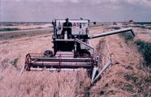 Fotografie: Erntetechnik, Mähdrusch, Mähdrescher selbstfahrend