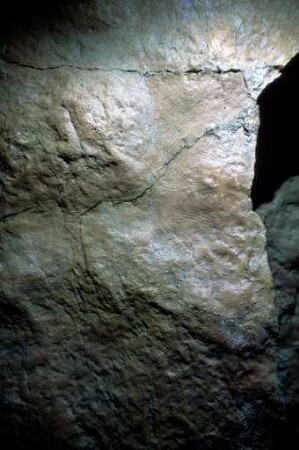 Altamira: SW320404