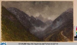 Gebirgsschlucht mit Nebel und grauen Wolken