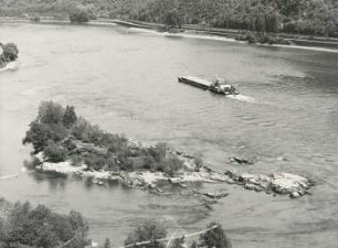 Tauber Werth bei Niedrigwasser