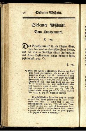 Siebenter Abschnitt. Vom Knochenmark.
