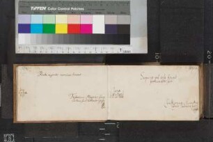 Friedrich Magnus; Blatt 2,2