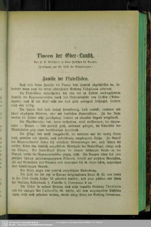 Tineen der Ober-Lausitz
