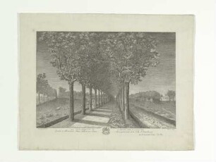 Vue D'Une Promenade De Hambourg, Hors Du Dammthor