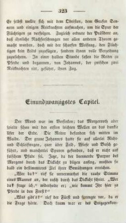 Einundzwanzigstes Capitel