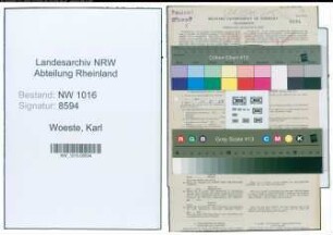 Entnazifizierung Karl Woeste , geb. 12.05.1880 (Postsekretaer)