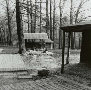 Tiergehege, Hainichen (Kreis Hainichen)